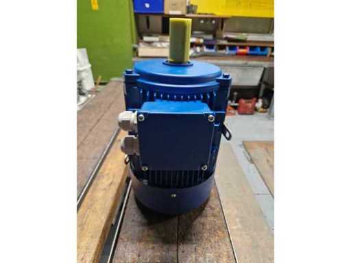 MOLL  IEC electromotor