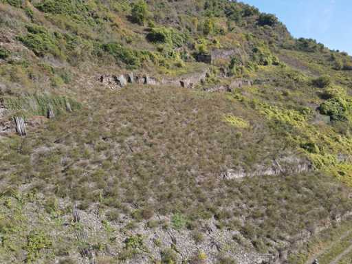 693 m² property plot in Klotten next to Cochem - Germany