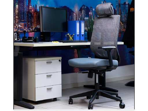 MaxxHome 22066 Ergonomic Office Chair (5x)