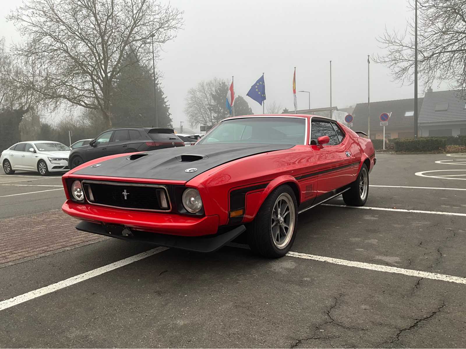 1973 Ford Mustang Mach 1 Vintage Cars > 15