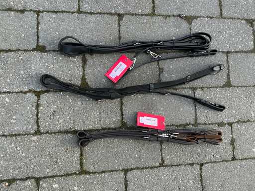 Reins horses (2x)