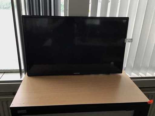 Television