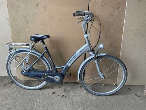 Sparta ion Electric Bike