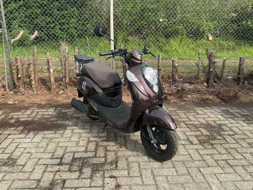 Sym Mio Scooter - Documente belgiene
