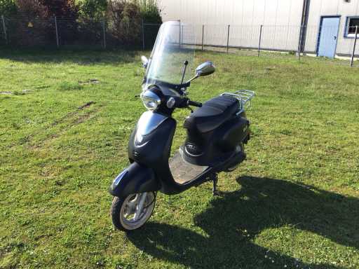 EVADER - Elektrisch - EV100METRO - Scooter