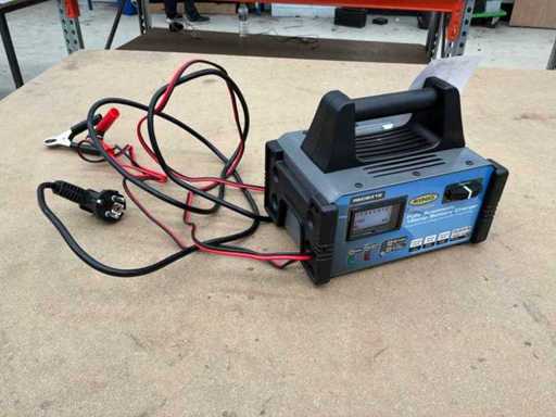 Ładowarka baterii Ring 12V