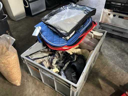 Party of Horse Riding Accessories