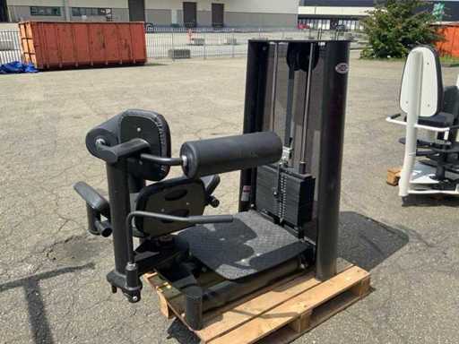 Gym80 Signum Drehtorso-Kraftwerk