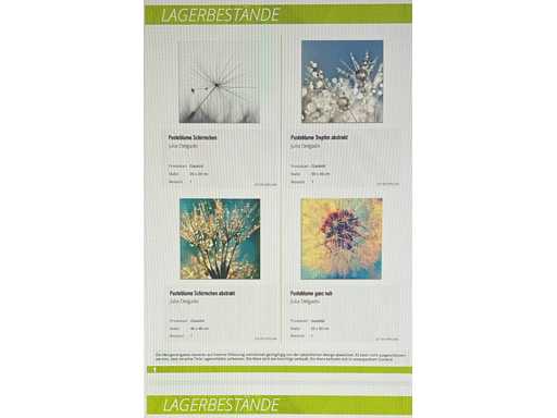 ARTLAND Rimanenze Stock Murales - Immagini in vetro di diverse dimensioni e stampate con motivi diversi