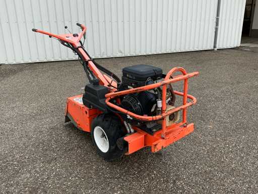 Barreto 1620 Tuinfrees