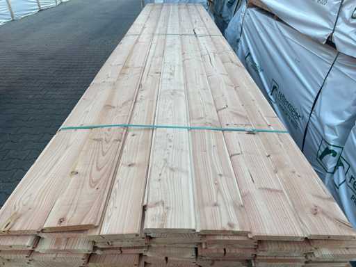 Douglas Nut und Feder 5000x145x18mm (126x)