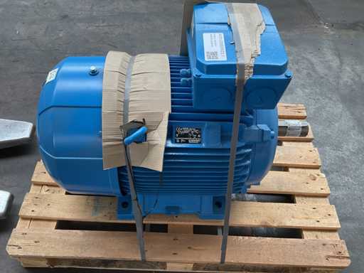 Motor eléctrico Elektra 2020