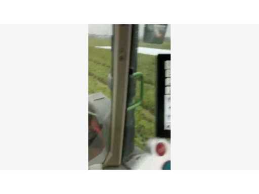 video.mp4