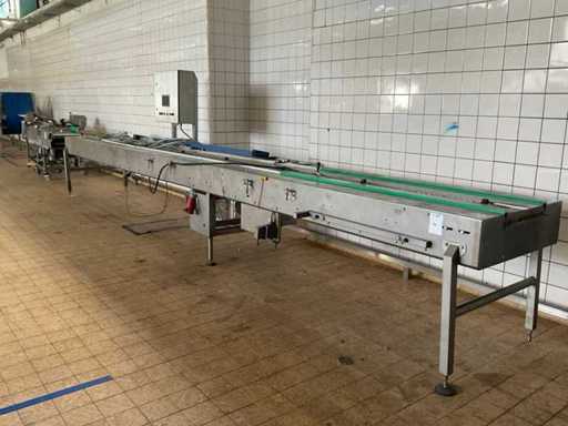 Conveyor belt