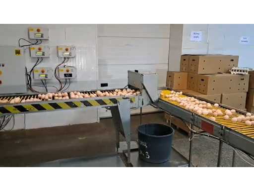 video-4ceaa759b1bd356d67a98bfb4e852554-V.mp4