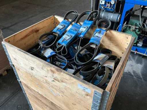 Partij SKF multi-riemen