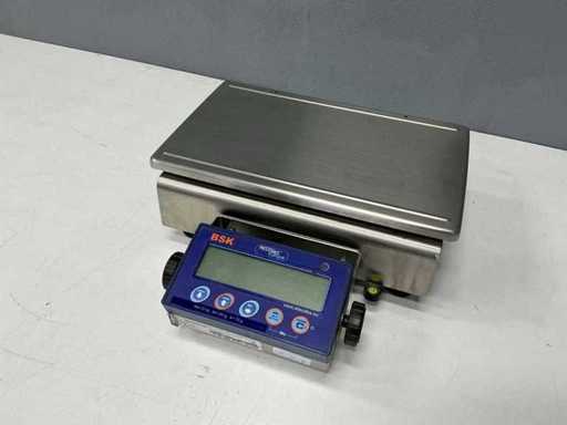 HM - ICS-XS - Scale