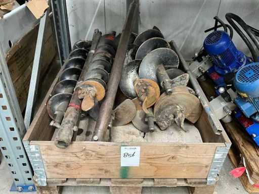 Tarière terrestre (8x)