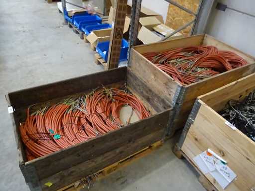 Lotto di cavi di collegamento