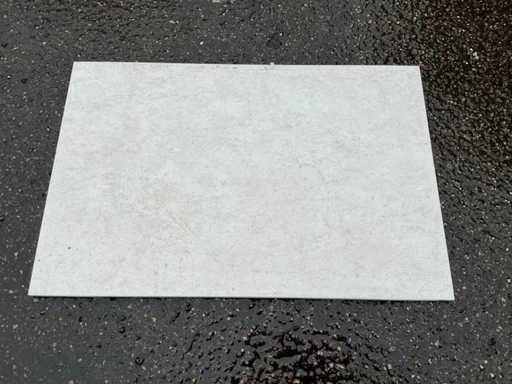 Ascot - 50x33 cm - 55 m2 - PWandtegels