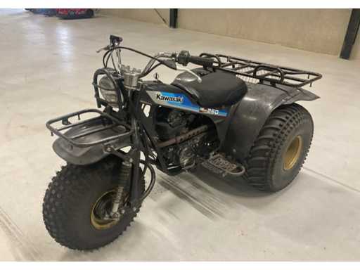 Kawasaki Kit250c Quad