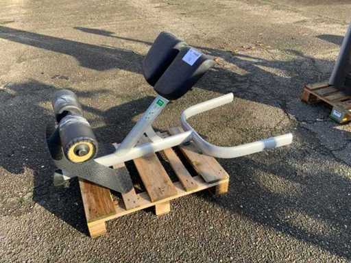 Gym80 Centrale centrale de bench hyperextension Signum