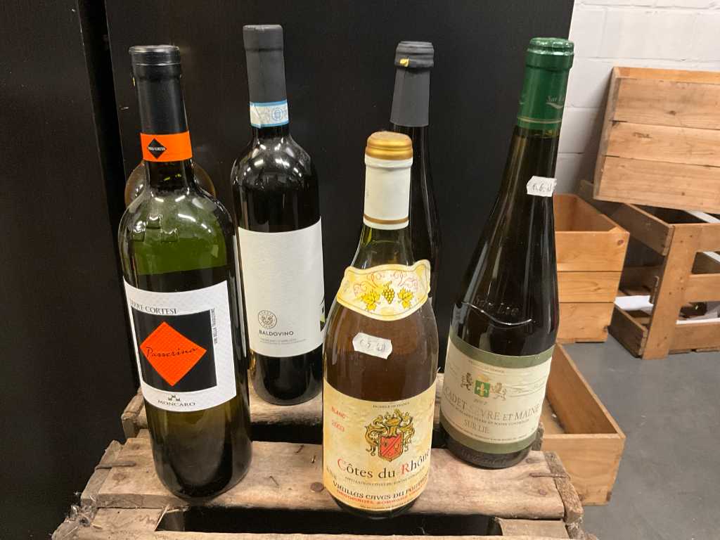 22 diverse flessen witte wijn