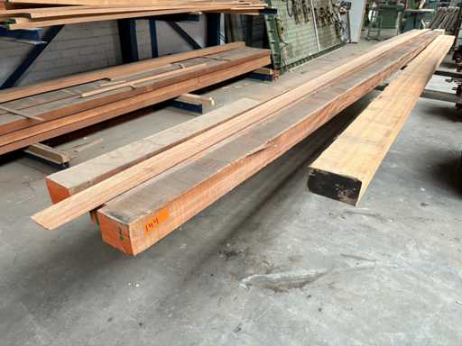 Maranti Laubholz (4x)