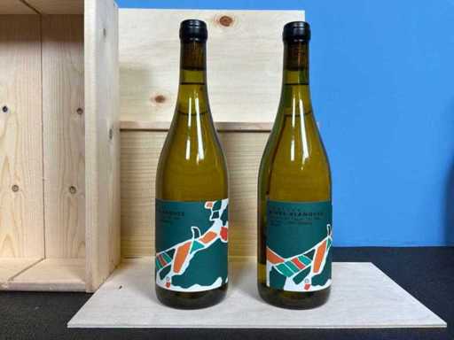 Chateau Rivers-Blanques Limoux Vino bianco 2023 (6 volte)
