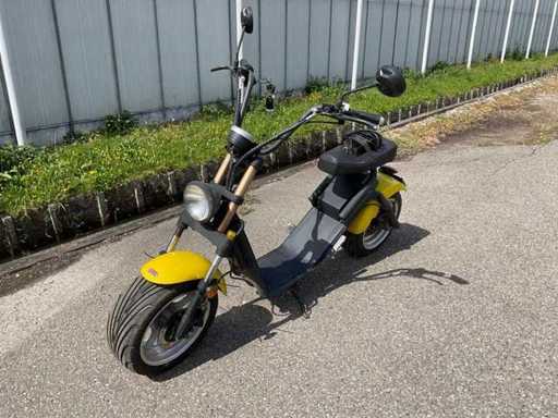 2019 Luqi Street Sound SNE002 (CAIQIEES 2.0) Snorscooter