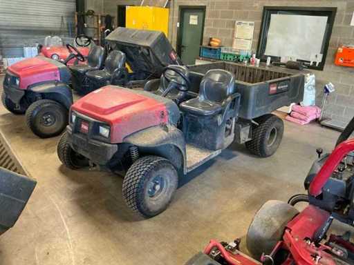 TORO Workman MDX-D Multifunctioneel transportvoertuig