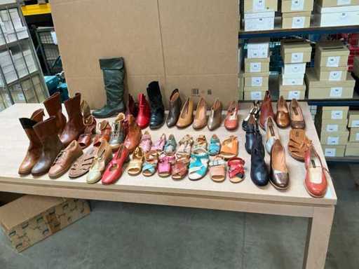 Petrecerea pantofilor