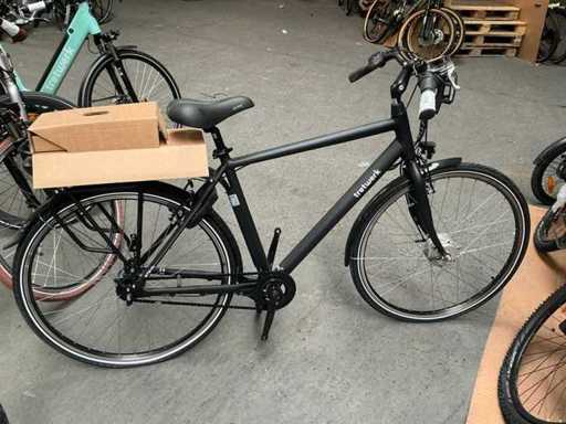 Tretwerk Mystic Elektrische fiets