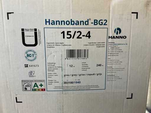 Nastro di sigillatura per giunti Hanno Hannoband-BG2 15/2-4 / Nastro composito