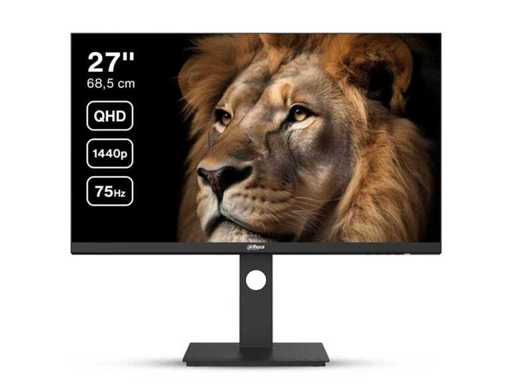 Dahua P301 27" Monitor