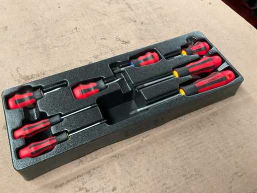 Set di cacciaviti Seneca