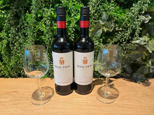 Butelka czerwonego wina (17x)