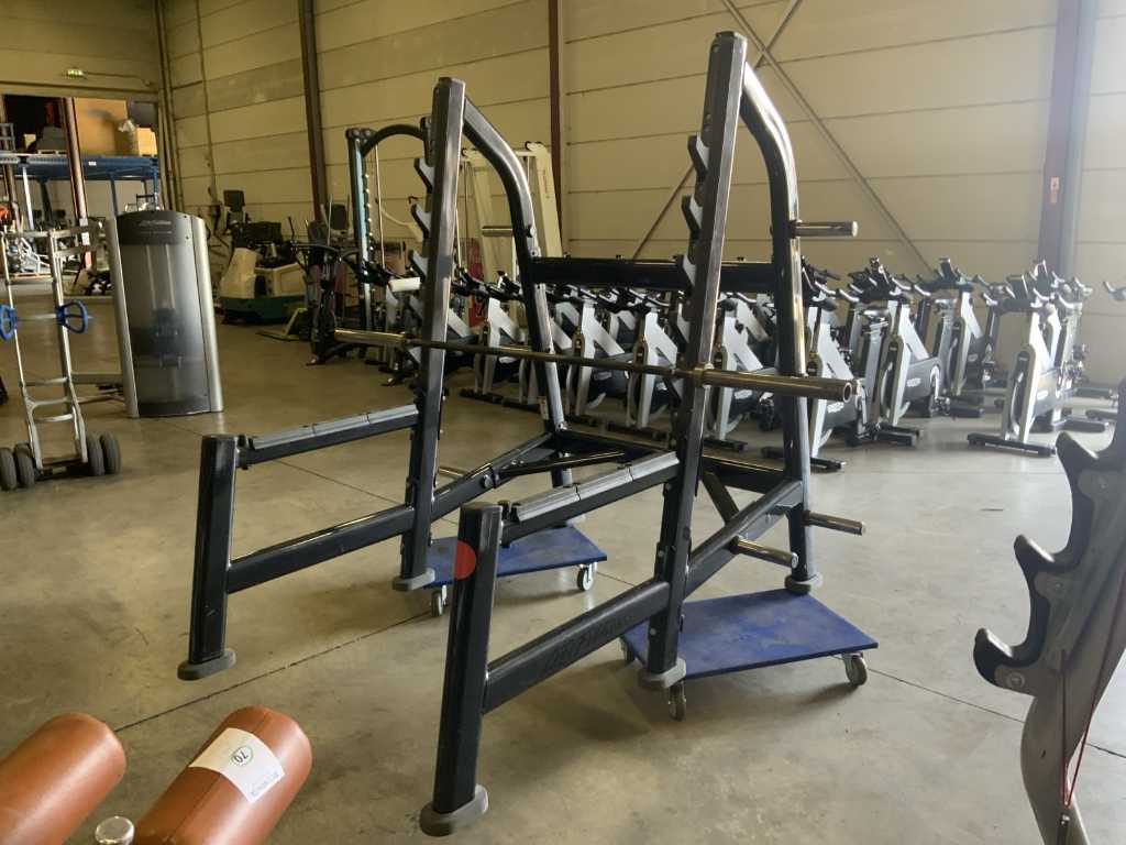 life fitness signature incl rack rack squat rack Multi gym