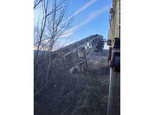 Screened Grasshopper