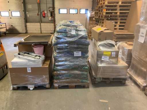 Lot de plantes d’intérieur divers