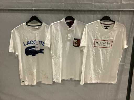 Paletten-Kleidung (250x)