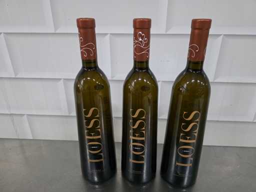 2024 - Loes Rueda Witte wijn fles (9x)