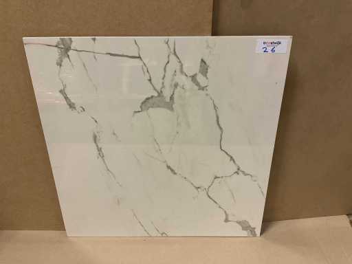 Kutahya Albatros Polished 60x60 cm Floor Tile 54 m²