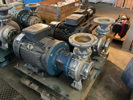 Grundfos/Leo Circulation Pump (2x)