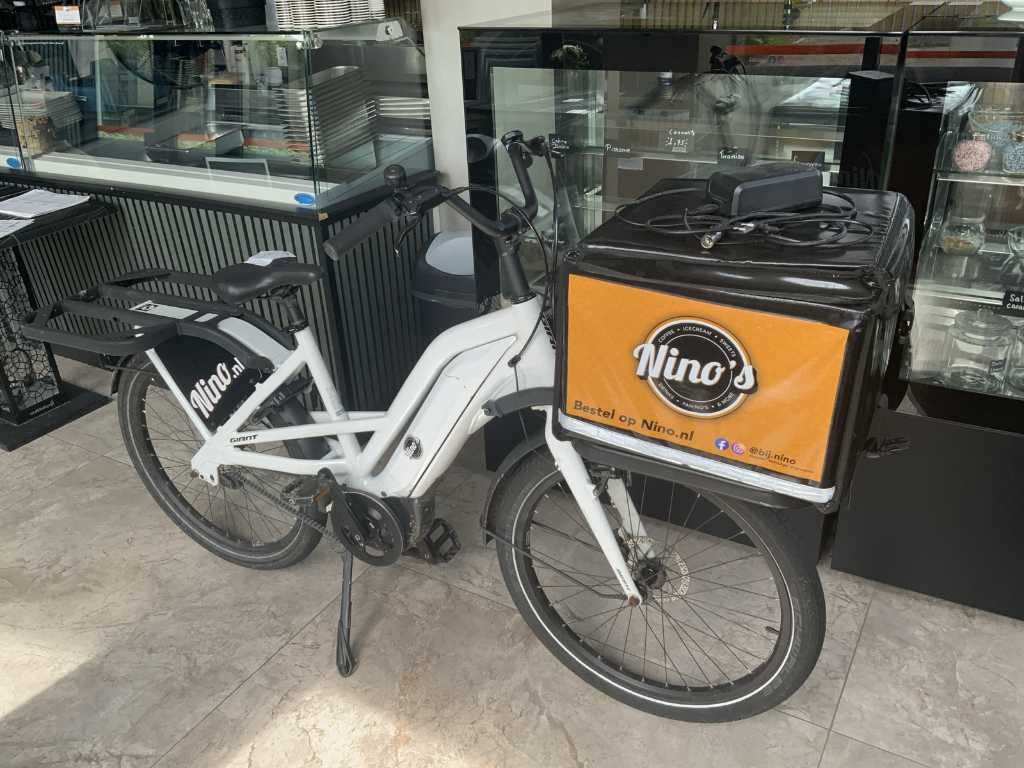 Giant Electric Delivery Bike