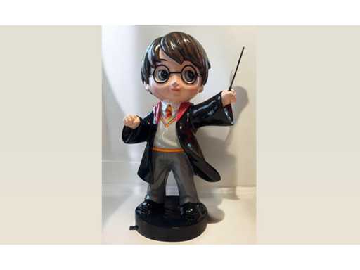 Cartoon Fantasy H. Potter Boy