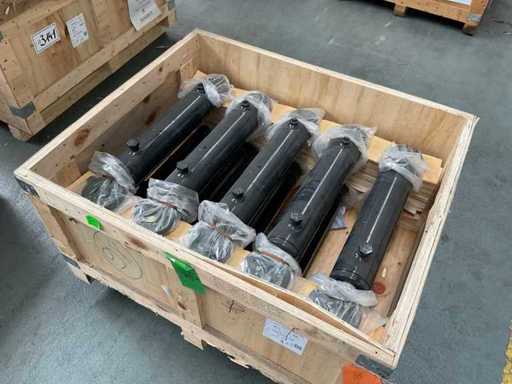 80/40*250 hydraulische cilinder (10x)