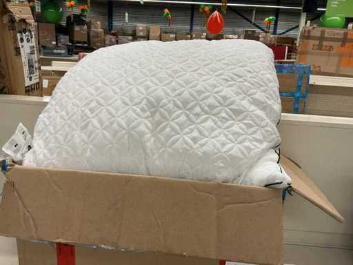 Oekotex Hoofdkussen (2x)