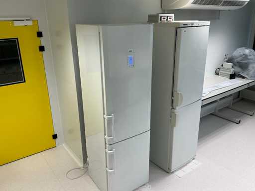 Liebherr - Premium NoFrost - kombinacja lodówki i zamrażarki