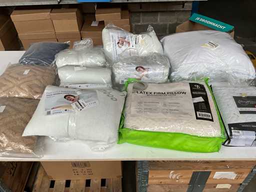 Mix kavel diverse Hoofdkussens